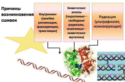 Mechanisms_of_cross-link_formation