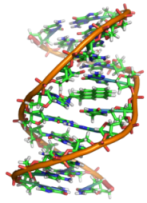 DNA_cross-link