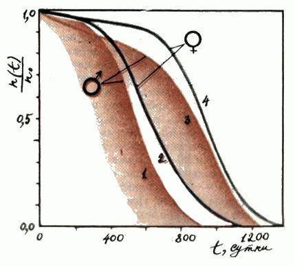   n(t)   n0  . 1 -   (); 2 -   (); 3  4 -  (  , ),    1000        