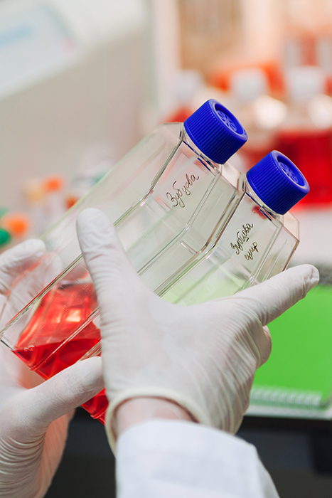 прлдрдылорпод