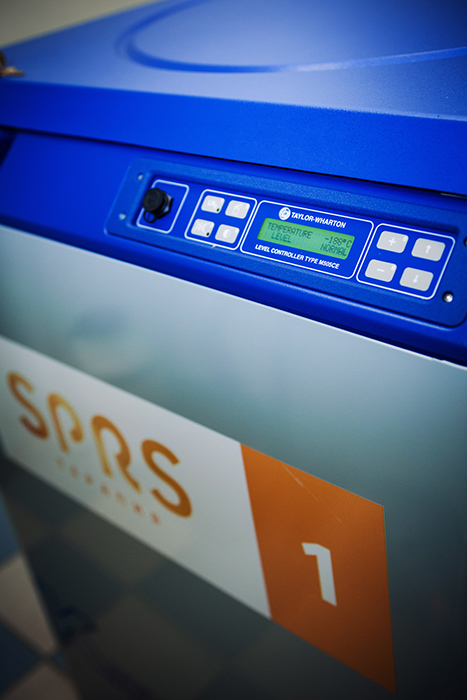 ялорпвдарлдпяАРРРП