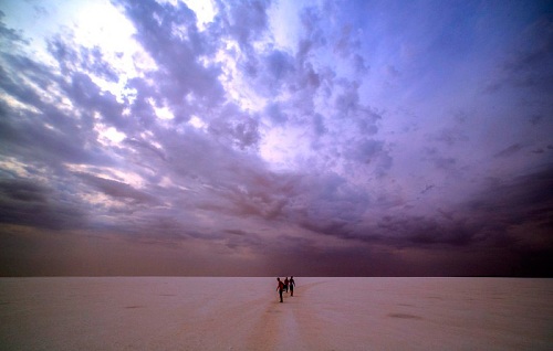 ����������